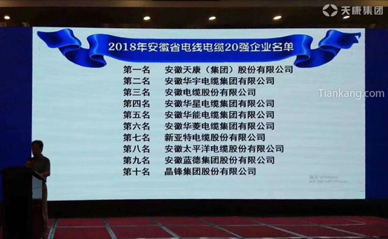 安徽天康集团在2018年安徽电缆行业20大zui具竞争力企业中排名优质